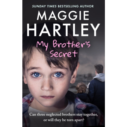 Orion Publishing Co My Brother's Secret (häftad, eng)