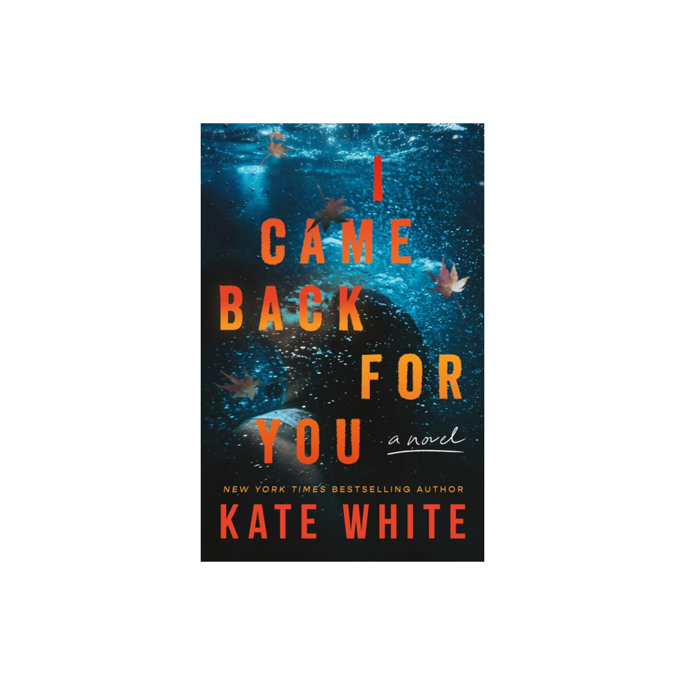 Produktbild för I Came Back for You (häftad, eng)