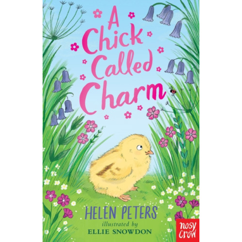 Nosy Crow Ltd A Chick Called Charm (häftad, eng)
