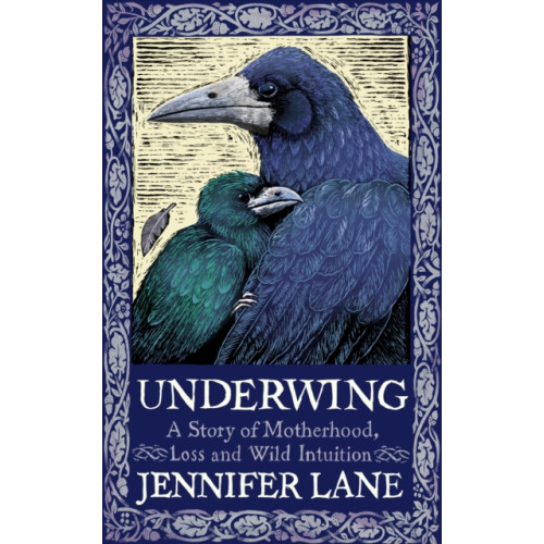 Duckworth Books Underwing (häftad, eng)