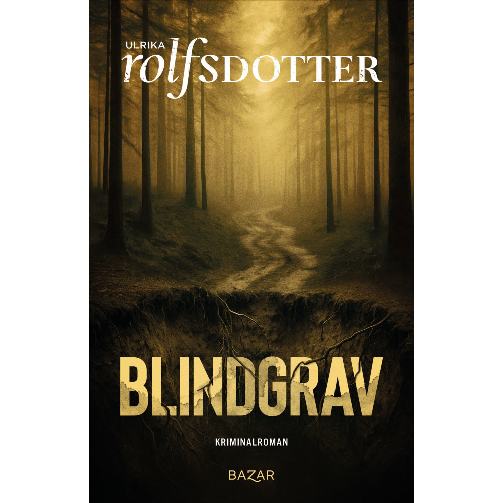 Produktbild för Blindgrav (inbunden)