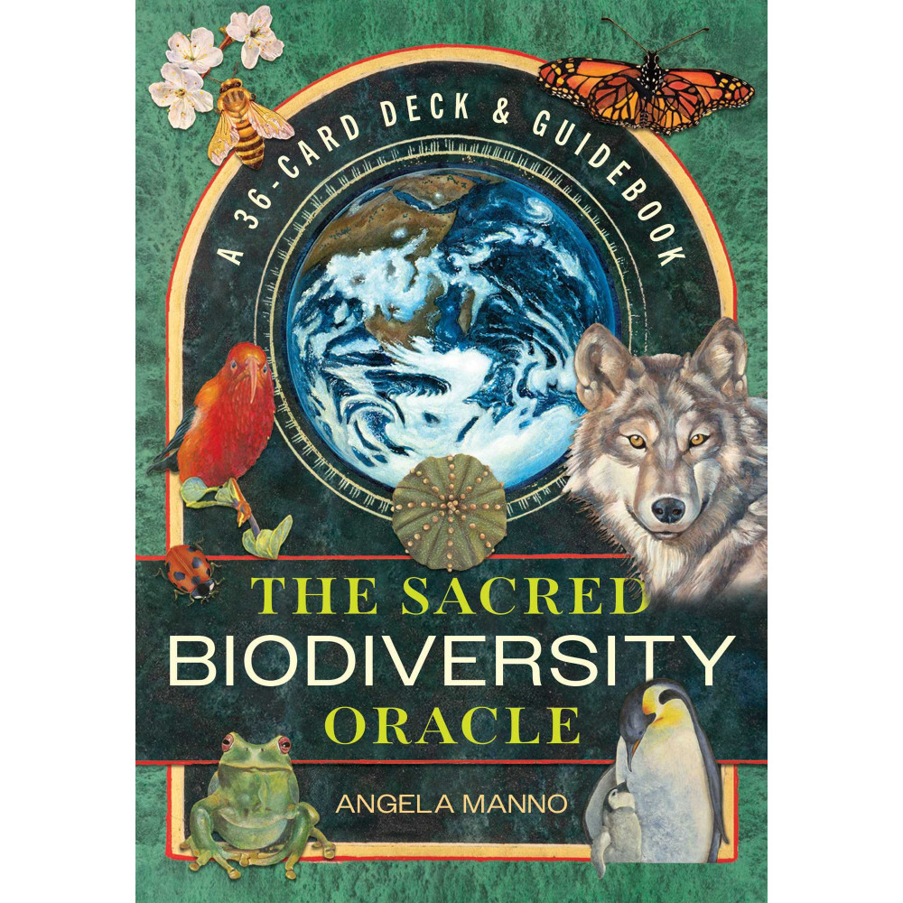 Produktbild för The Sacred Biodiversity Oracle: A 36-Card Deck and Guidebook