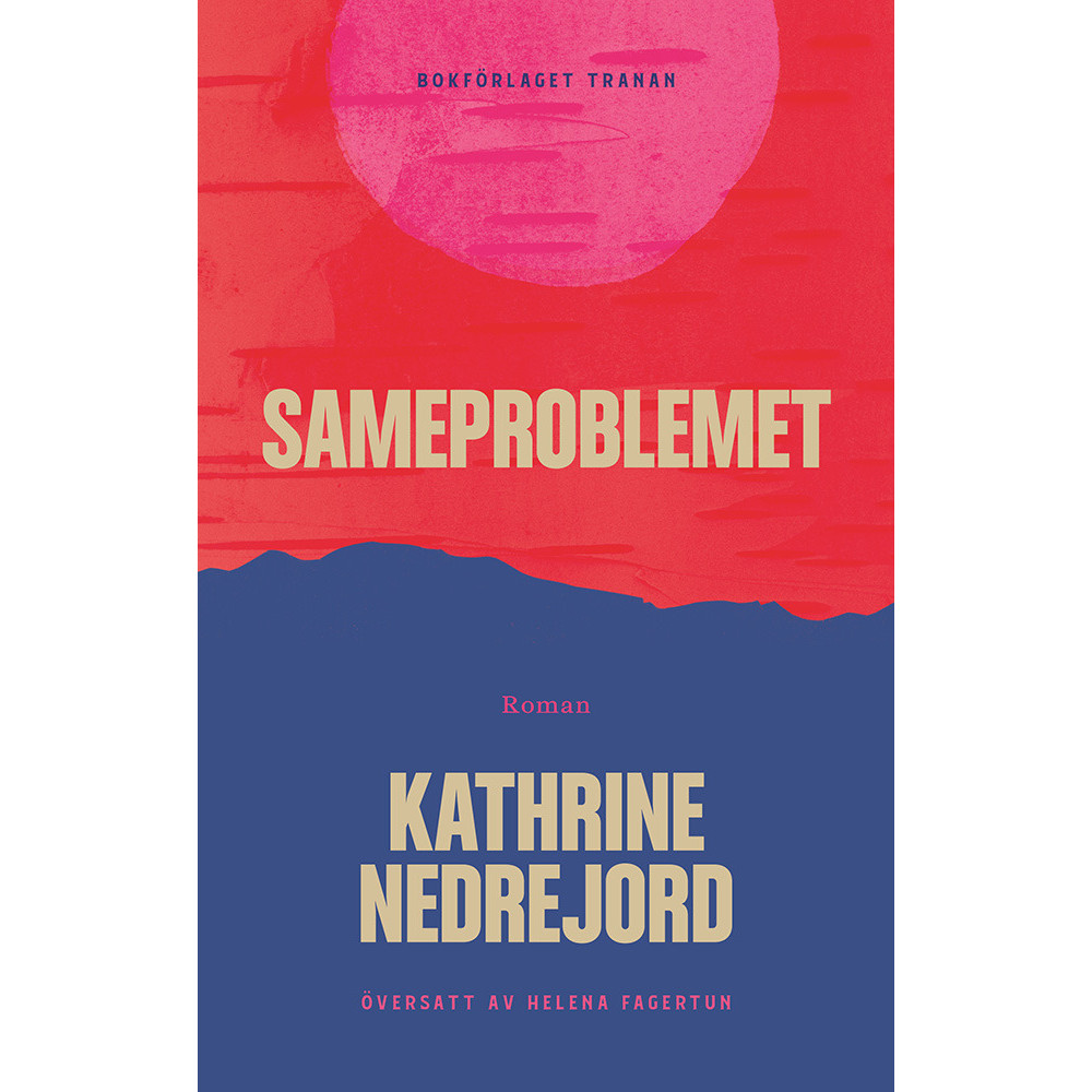 Produktbild för Sameproblemet (inbunden)