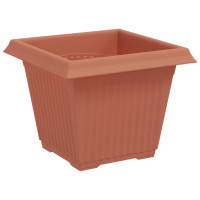 Produktbild för Kvadratisk Blomkruka 6 pcs Murgrön 33 x 33 x 26 cm Plast