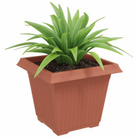 Produktbild för Kvadratisk Blomkruka 6 pcs Murgrön 38 x 38 x 30 cm Plast