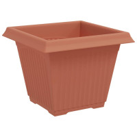 Produktbild för Kvadratisk Blomkruka 6 pcs Murgrön 38 x 38 x 30 cm Plast