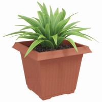 Produktbild för Kvadratisk Blomkruka 6 pcs Murgrön 43 x 43 x 33,5 cm Plast