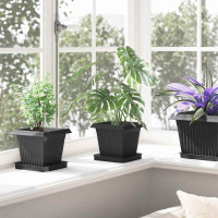 Produktbild för Kvadratisk Blomkruka 24 pcs Svart 16 x 16 x 14 cm Plast