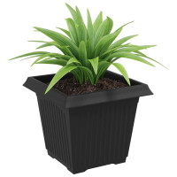 Produktbild för Kvadratisk Blomkruka 24 pcs Svart 20 x 20 x 16 cm Plast