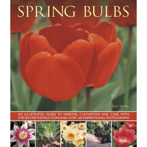 Anness publishing Spring Bulbs (häftad, eng)