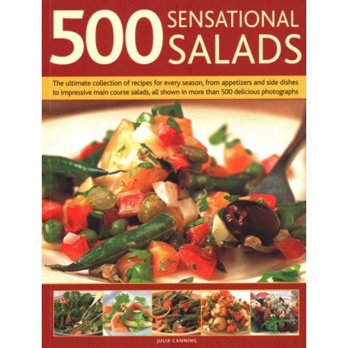 Anness publishing 500 Best-Ever Salads (häftad, eng)