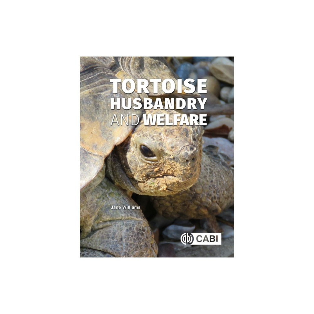 Produktbild för Tortoise Husbandry and Welfare (häftad, eng)