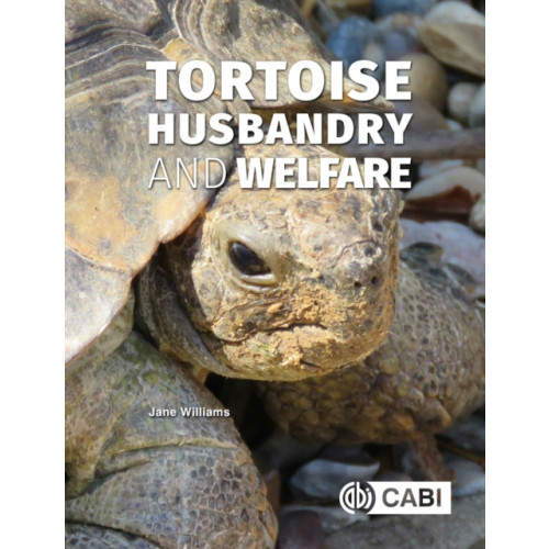 CABI Publishing Tortoise Husbandry and Welfare (häftad, eng)