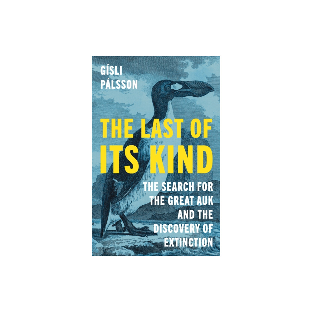 Produktbild för The Last of Its Kind (häftad, eng)