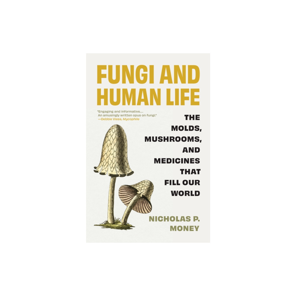 Produktbild för Fungi and Human Life (häftad, eng)
