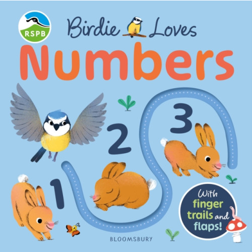 Bloomsbury Publishing PLC RSPB Birdie Loves Numbers (bok, board book, eng)