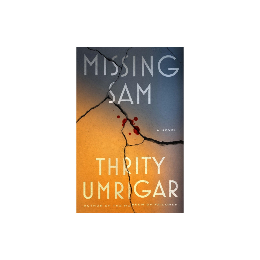 Produktbild för Missing Sam (inbunden, eng)