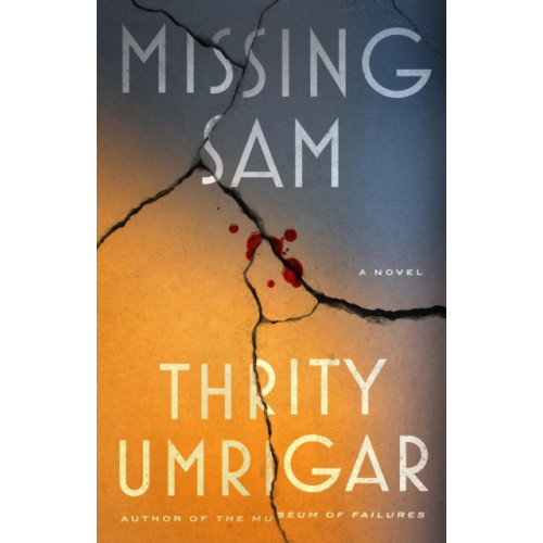 Workman Publishing Missing Sam (inbunden, eng)
