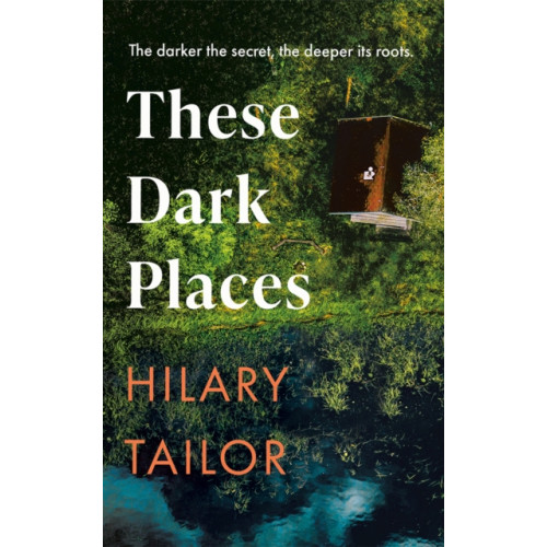 Amazon Publishing These Dark Places (häftad, eng)
