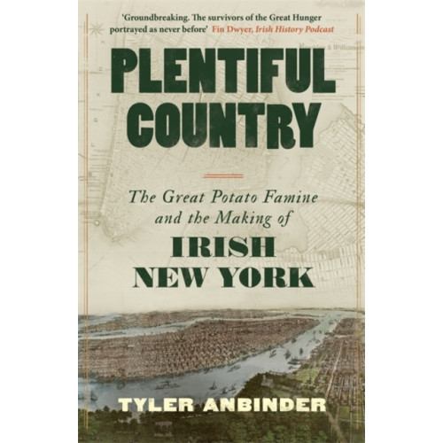 Bonnier Books Ltd Plentiful Country (häftad, eng)