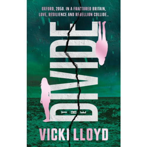 The Book Guild Ltd The Divide (häftad, eng)