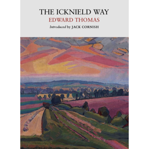 Little Toller Books The Icknield Way (häftad, eng)