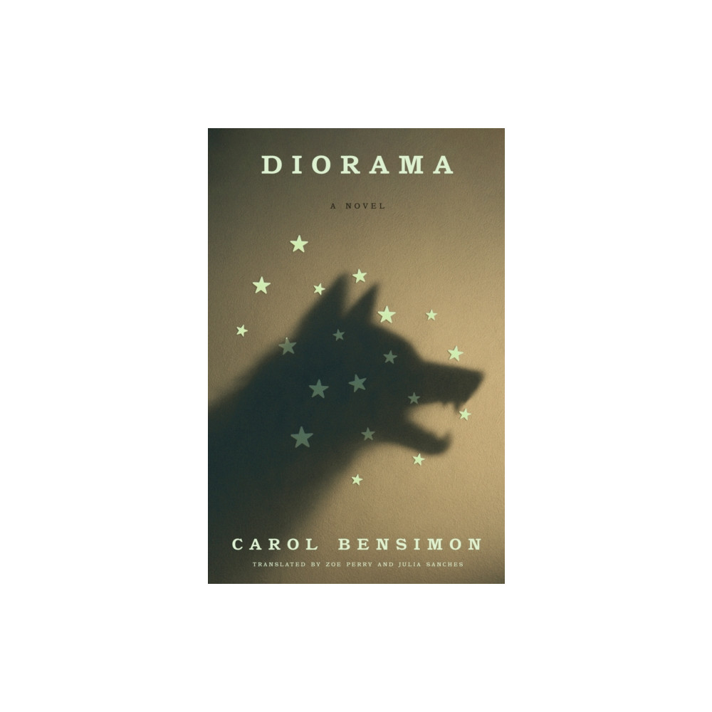 Produktbild för Diorama (inbunden, eng)