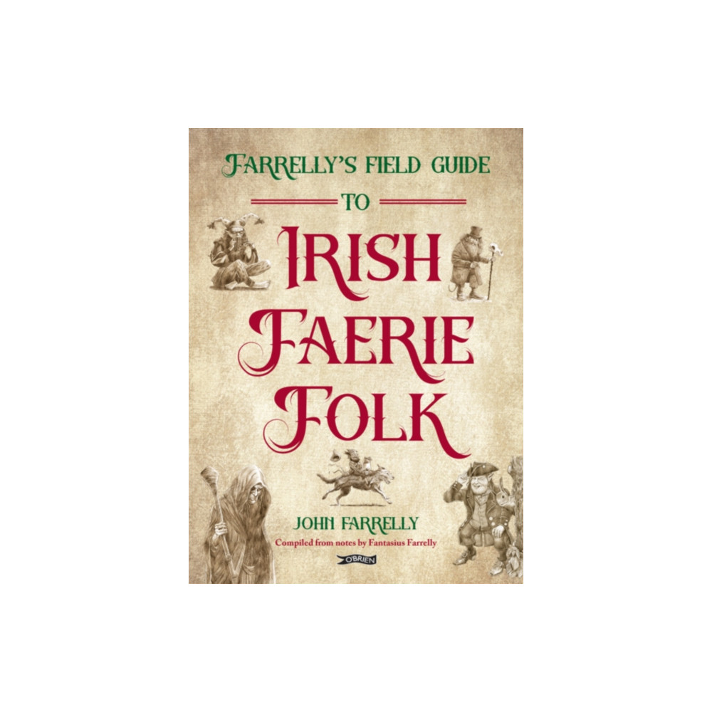 Produktbild för Farrelly’s Field Guide to Irish Faerie Folk (häftad, eng)