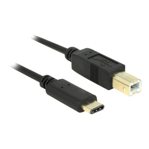 DeLOCK Delock - USB typ C-kabel - USB-C till USB typ B - 2 m
