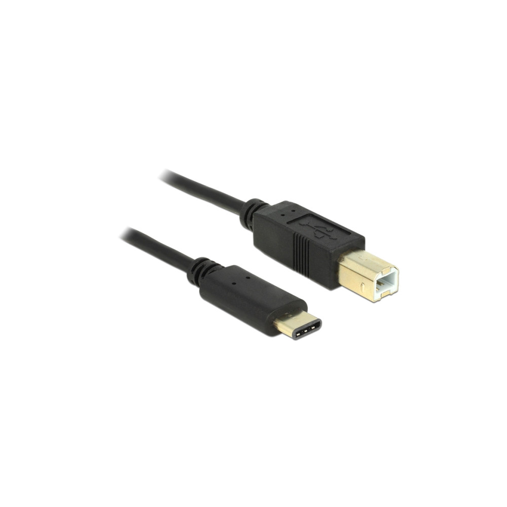 Produktbild för Delock - USB typ C-kabel - USB-C till USB typ B - 2 m