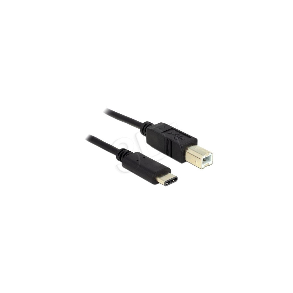 Produktbild för Delock - USB typ C-kabel - USB-C till USB typ B - 2 m