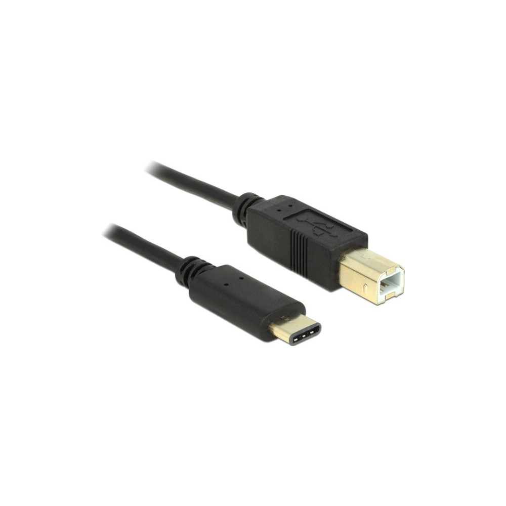 Produktbild för Delock - USB typ C-kabel - USB-C till USB typ B - 2 m