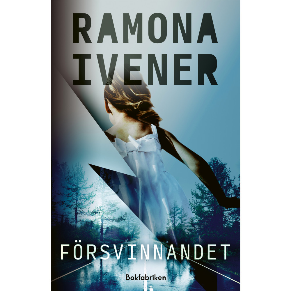 Produktbild för Försvinnandet (inbunden)