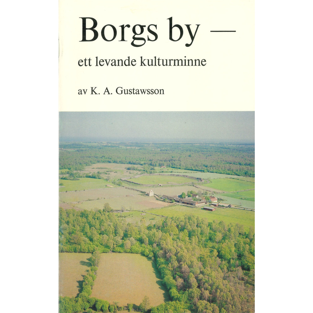 Produktbild för Borgs by : Ett levande kulturminne (häftad)