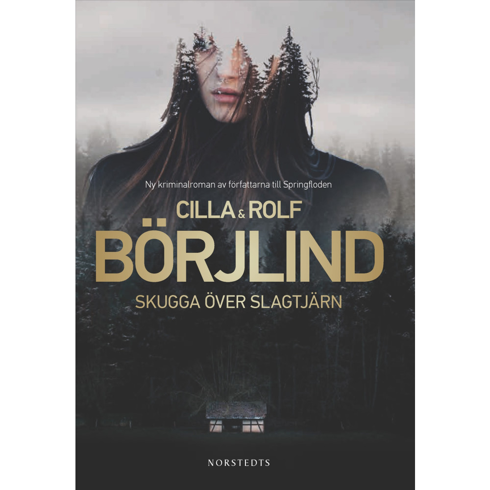 Produktbild för Skugga över Slagtjärn (pocket)