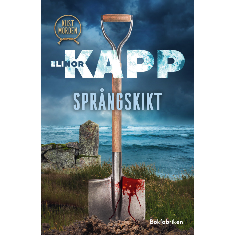 Produktbild för Språngskikt (inbunden)