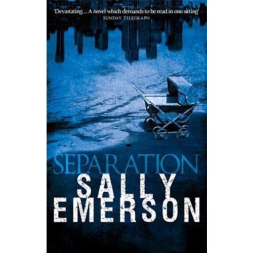 Mereo Books Separation (häftad, eng)