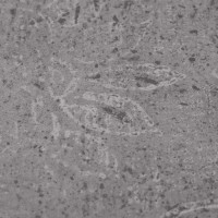 Produktbild för Golvplankor 18 pcs Cement Brun 5,26 m² PVC