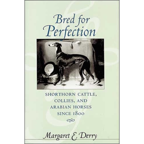 Johns Hopkins University Press Bred for Perfection (inbunden, eng)