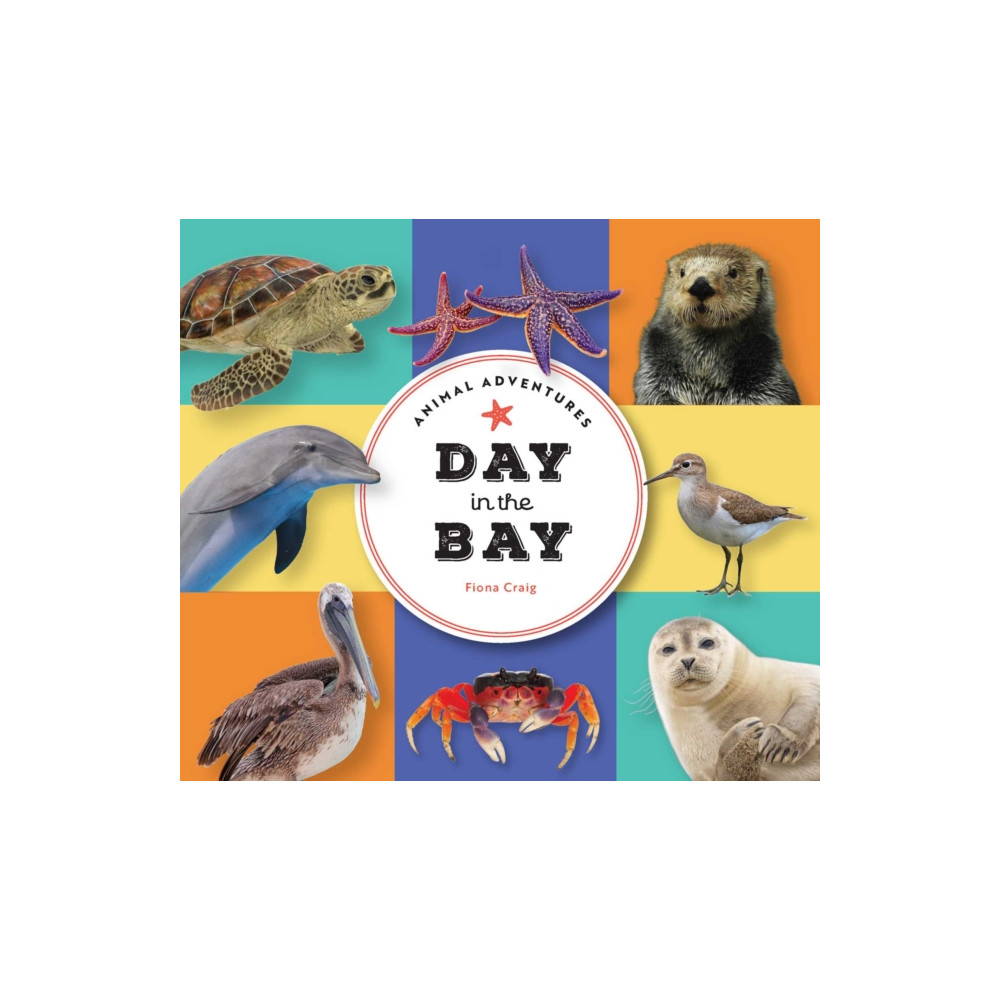 Produktbild för Animal Adventures: Day in the Bay (bok, board book, eng)