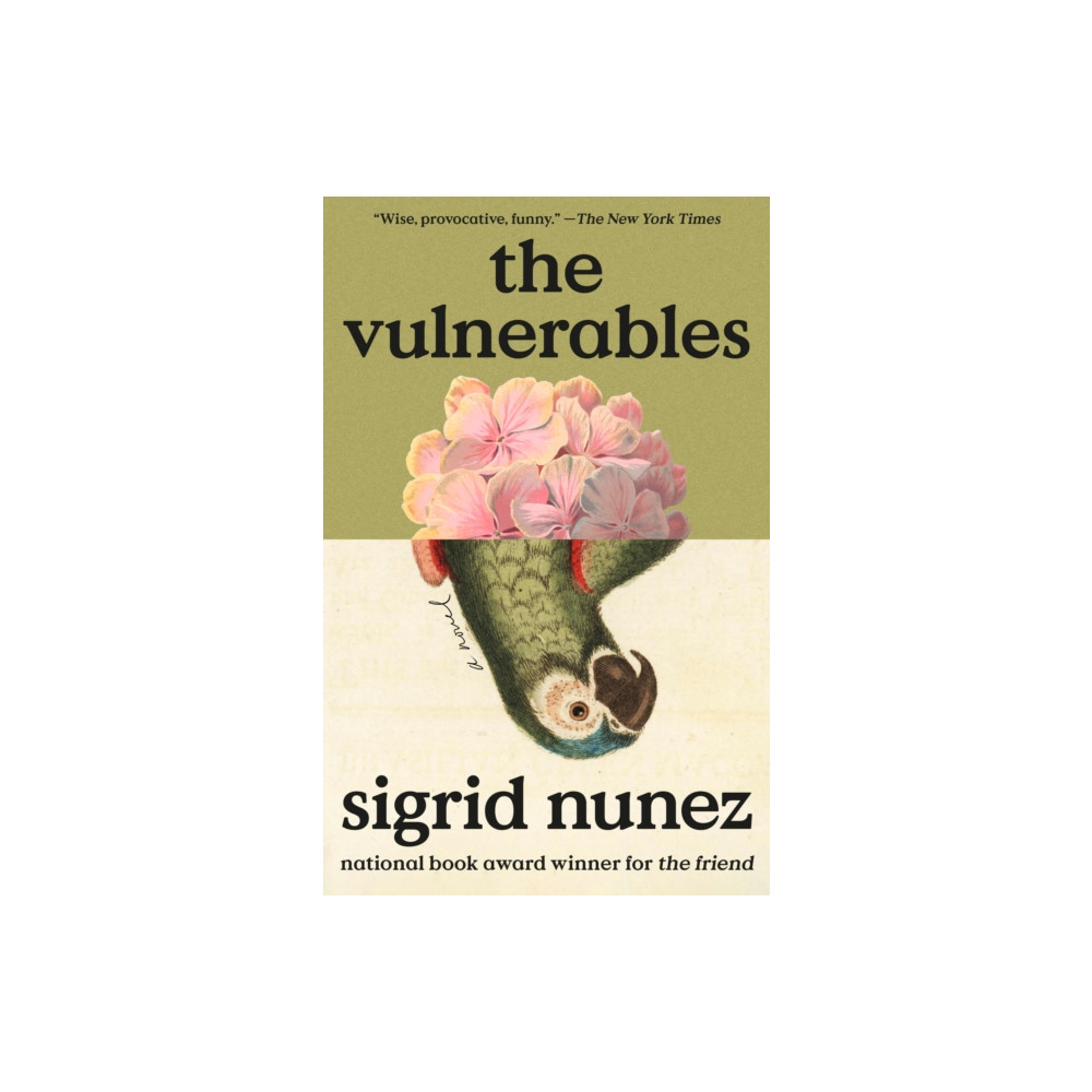 Produktbild för The Vulnerables (häftad, eng)