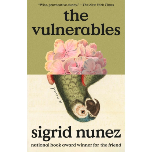 Not Stated The Vulnerables (häftad, eng)