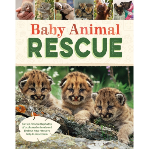 Hachette Children's Group Baby Animal Rescue (inbunden, eng)