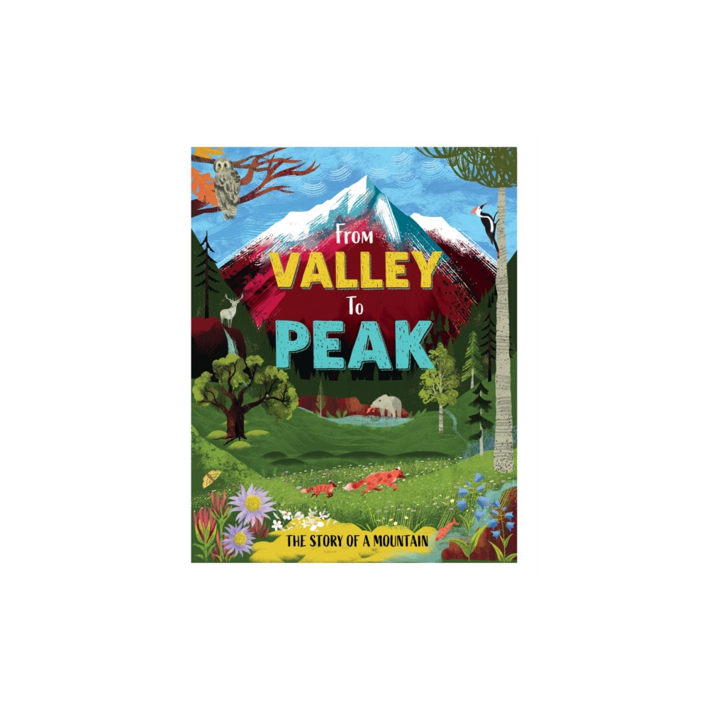 Produktbild för From Valley to Peak: The Story of Mountains (inbunden, eng)