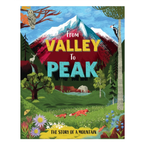 Hachette Children's Group From Valley to Peak: The Story of Mountains (inbunden, eng)