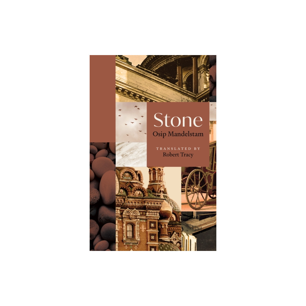 Produktbild för Stone (häftad, eng)
