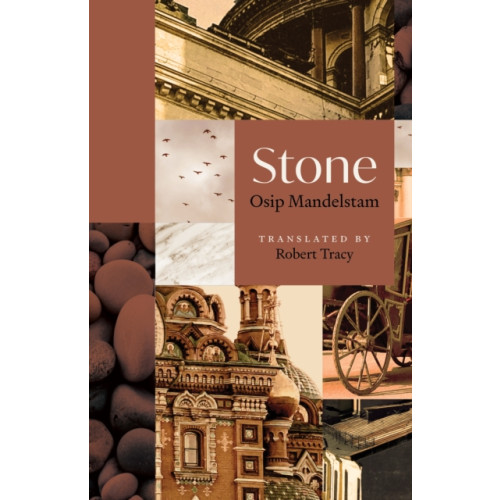 Princeton University Press Stone (häftad, eng)