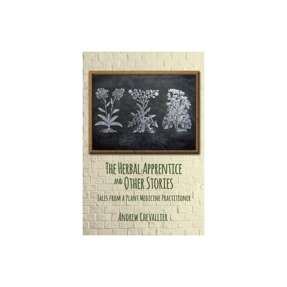 Produktbild för The Herbal Apprentice and Other Stories (häftad, eng)