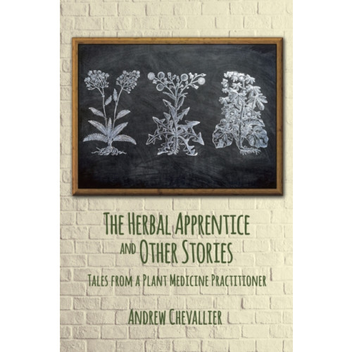 Aeon Books Ltd The Herbal Apprentice and Other Stories (häftad, eng)