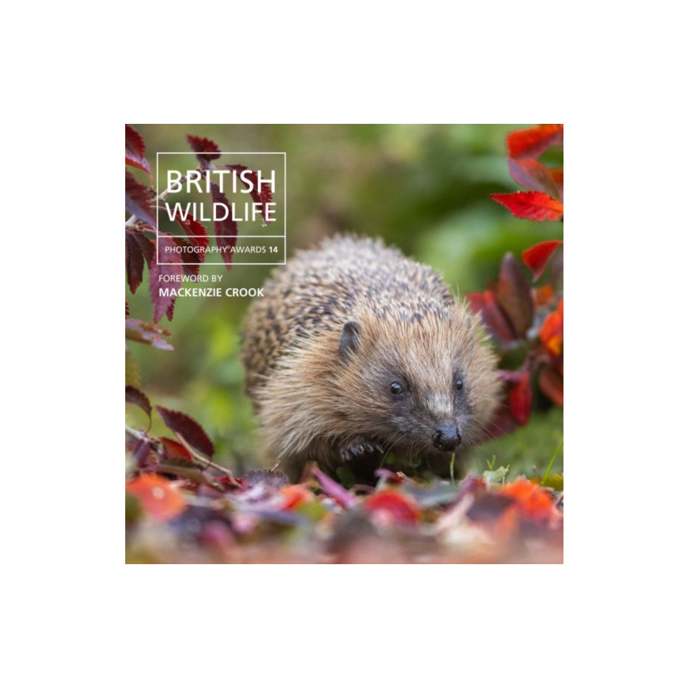 Produktbild för British Wildlife Photography Awards 14 (inbunden, eng)